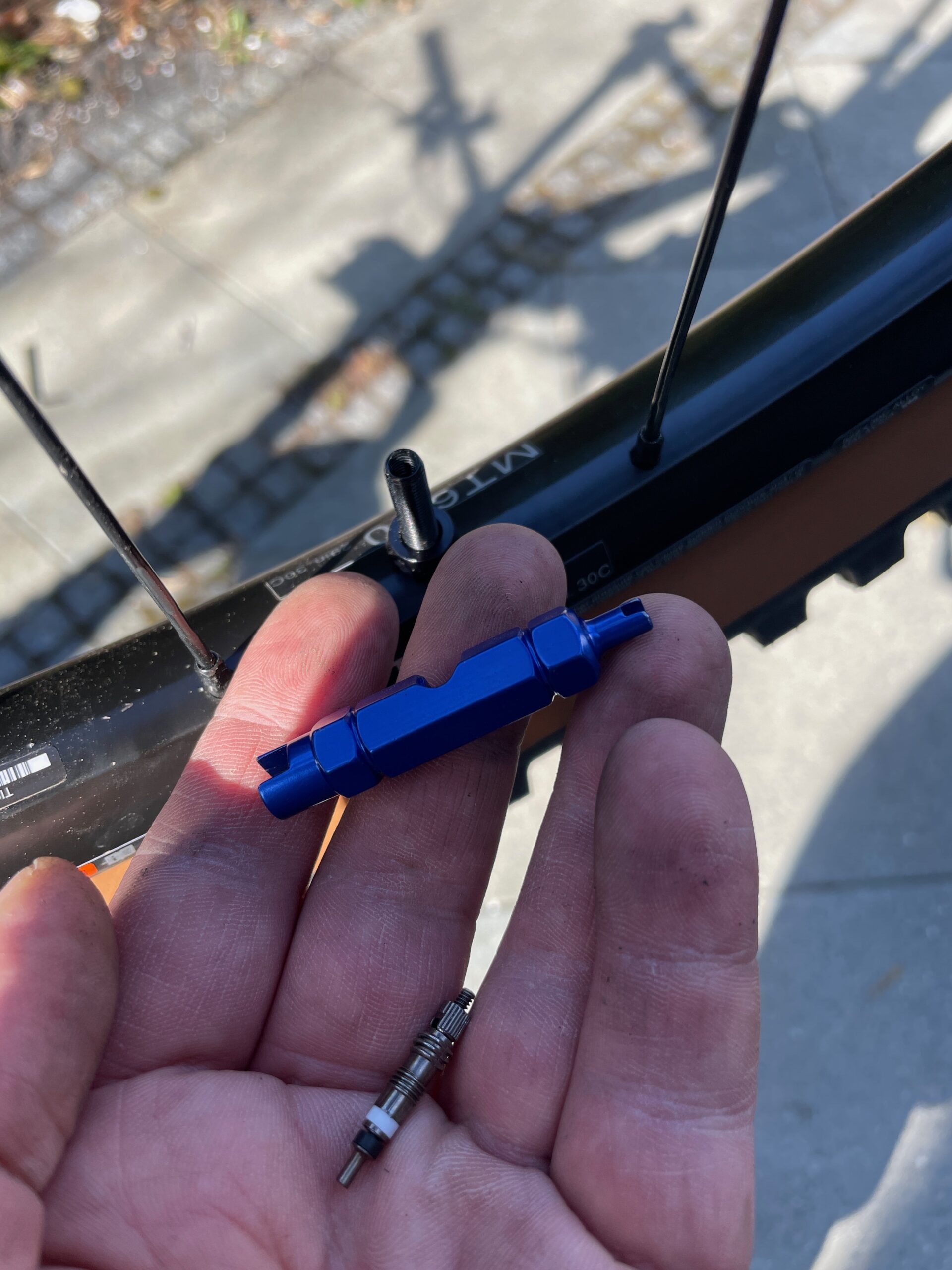 Blaues Ventil-Werkzeug und ein herausgedrehter Ventilkern in der Hand
