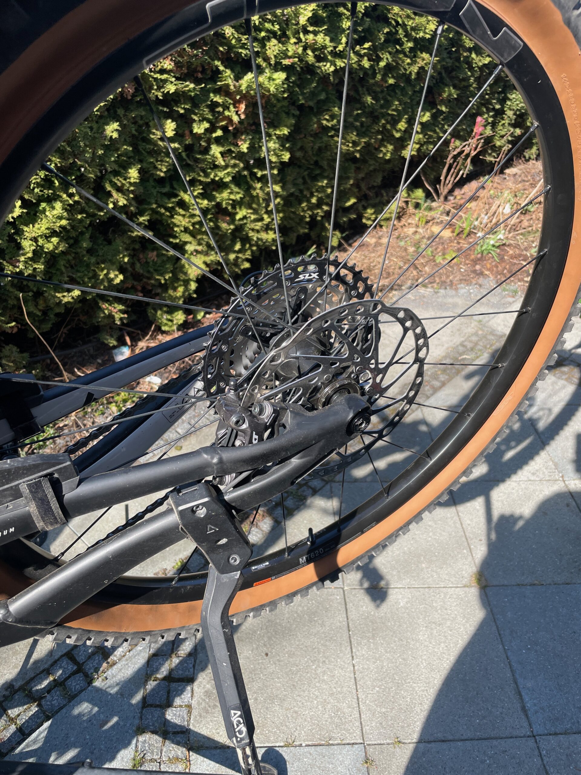 Fertig umgerüstetes Hinterrad mit braunen Reifenflanken, montiert am Bike